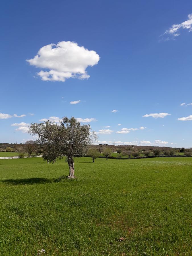 노치 Enjoytrulli - Countryside 빌라 외부 사진